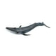 thumbnail image 4 of Figuras de ballenas realistas Figuras de animales de mar Cognitivo Toy Educational Juguetes Jugar simulación de juguetes para niños Regalos para niños, 4 of 8