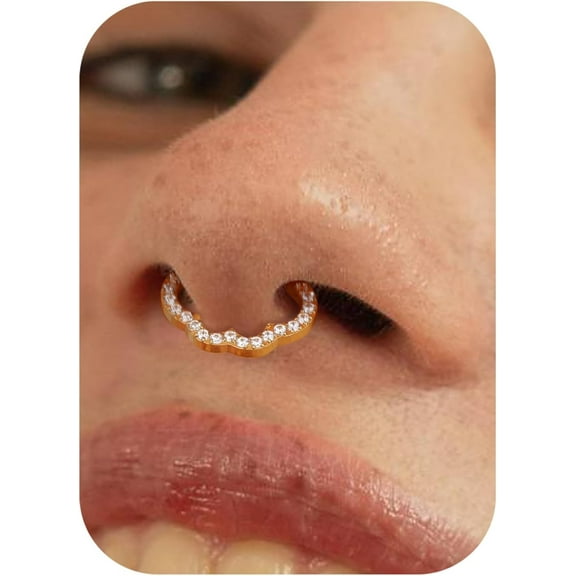 16G Cloud Hinged Septum Rings - G23 Titanium Nose Rings Hoops Clicker Septum Jewelry CZ Nose Piercings Helix Tragus Rook Daith Earrings for Women Men Silver/14K Gold Plated 8mm