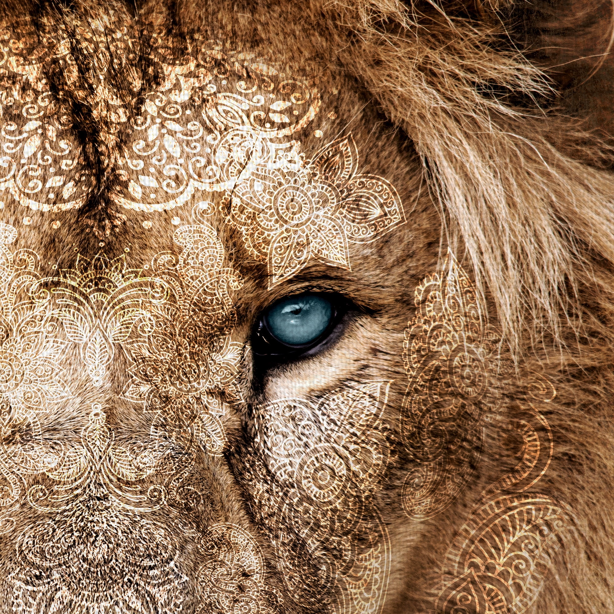 Masterpiece Art Gallery Global Lion I By Belle Maison Canvas Art Print 30" x 40"