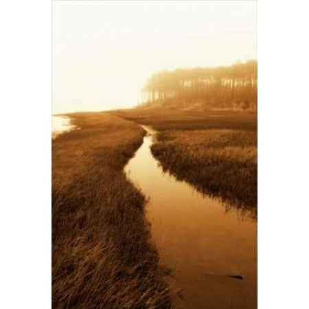Harkers Island Marsh I Canvas Art - Alan Hausenflock (24 x 36)