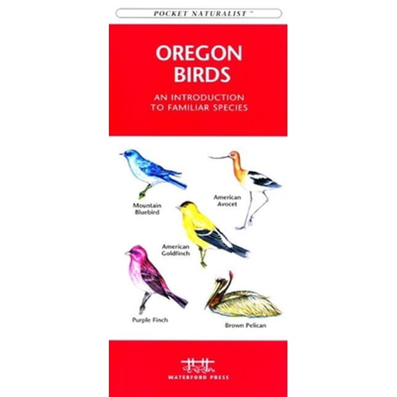 Pre-Owned Butterflies & Moths: A Folding Pocket Guide to Familiar North American Species (Paperback) 1583551298 9781583551295