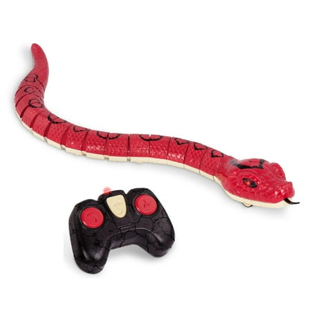 Terra by Battat - Rainbow Boa - Infrared Remote Control Snake with Light-Up Eyes - Electronic Animal Toys and Playsets for Kids Aged 6 and Up