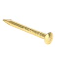 thumbnail image 3 of 100Pcs Round Head Nail Brass Furniture Hinge Hardware Accessories 10mm/15mm/18mm/22mm18mm Length, 3 of 3
