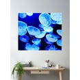 thumbnail image 2 of Blue Jellyfish Poster Wall Art, Modern Wall Decor For Living Room Bedroom, 8x12 UNFRAMED, 2 of 3