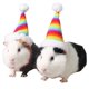 thumbnail image 1 of 2x Sombrero De Navidad Con Hámster, Sombreros De Santa Claus De íris De Gato, Sombrero De Navidad De Jerbo Yinane Mascota Hámster Gatito Cachorro Sombrero, 1 of 8