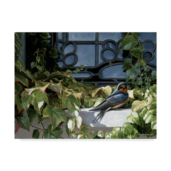 Trademark Fine Art 'The Window Ledge' Canvas Art by Ron Parker