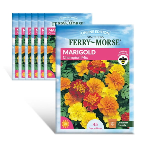 Ferry-Morse Online Edition Marigold Champion Mix Seed Multipack - 7 Pack
