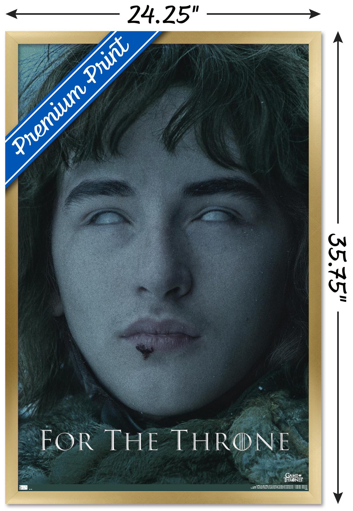 Game of Thrones - Bran Stark Wall Poster, 22.375" x 34", Framed