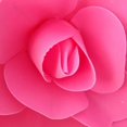 thumbnail image 1 of Flor de espuma de fondo plano, flor de simulación, pared adhesiva, flor falsa, diseño del sitio para eventos de bodas, planta decorativa para pared, 1 of 6