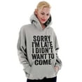 thumbnail image 3 of I Didn't Want to Come Introvert Funny Hoodie Sweatshirt Women Men Brisco Brands L, 3 of 6