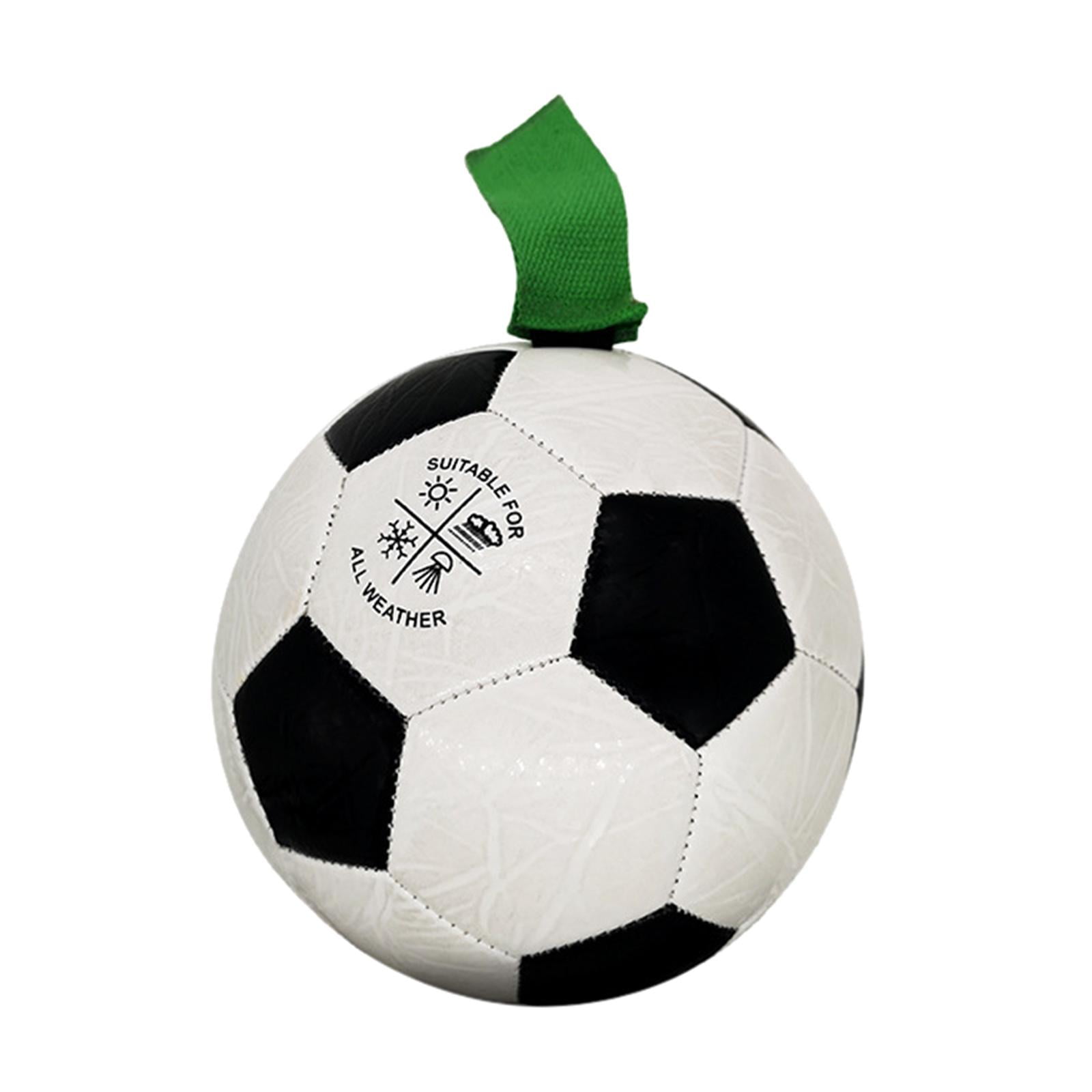 Football Dog with Grip Tabs Leashes Interactive Floating Football Dog Training Walmart