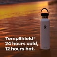thumbnail image 3 of Hydro Flask Standard Flex Cap Agave 24 Oz, 3 of 7