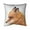 MultiColor, variant on Begin Home Decor 5541-2020-AN483 20 x 20 in. Red Fox-Double Sided Print Indoor Pillow