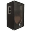 Seismic Audio - Empty 15 Inch PA / DJ / Band Speaker Cabinet with Titanium Horns - SA-15T_Empty