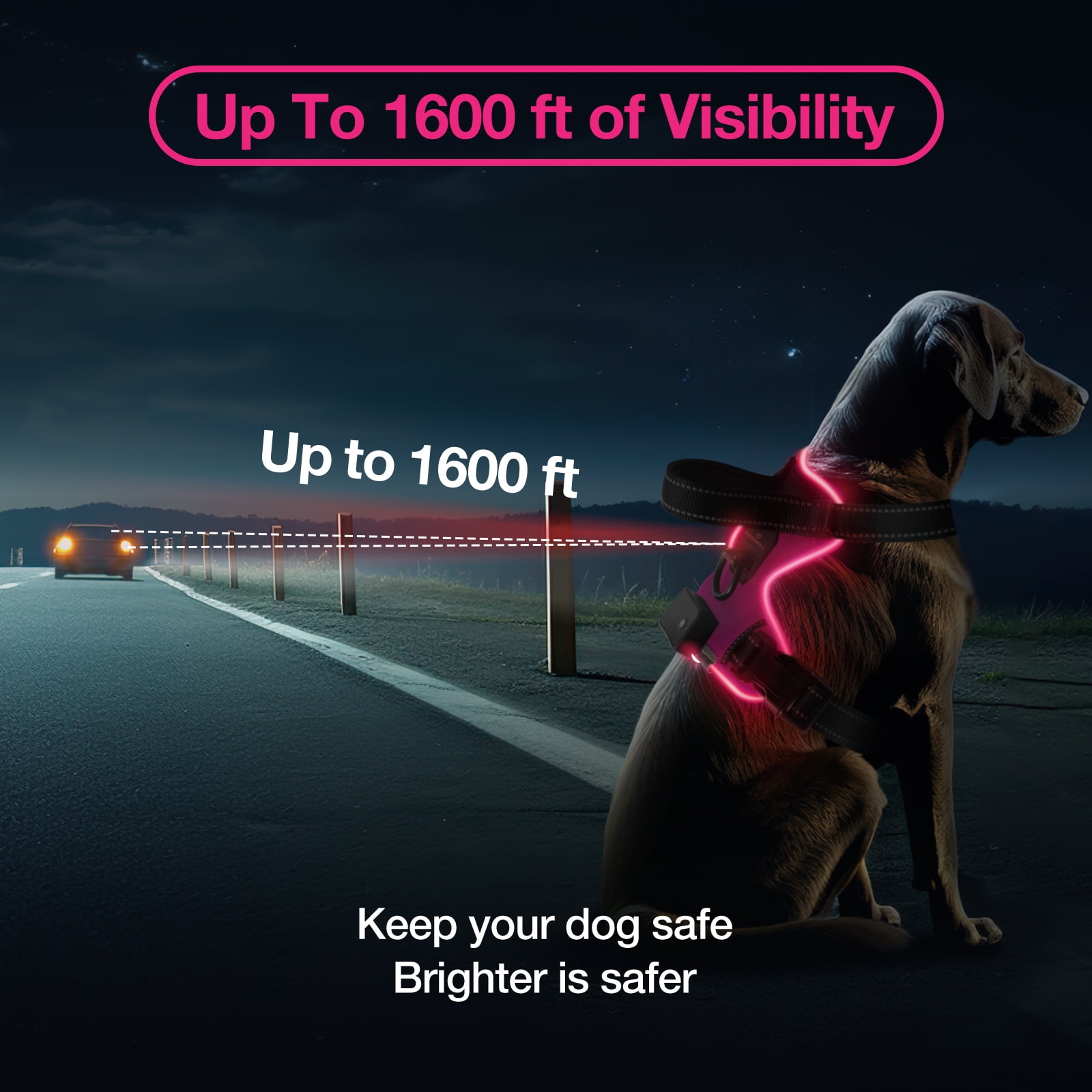 MASBRILL Light Up Dog Harness - No Pull Led Dog Harness Rechargeable Lighted Dog Harness for Night Walking Adjustable Glow Vest for Small Medium Large Dogs
