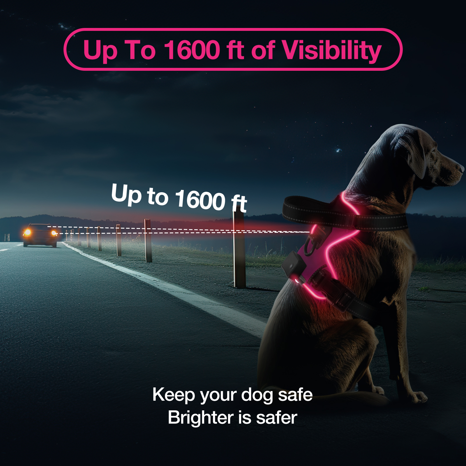 MASBRILL Light Up LED Dog Harness, Rechargeable photo 3