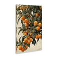 thumbnail image 4 of Stupell Industries Vibrant Orange Tree Blooms Food & Beverage Painting Wrapped Canvas Art Print Wall Art, 30 x 45, 4 of 8