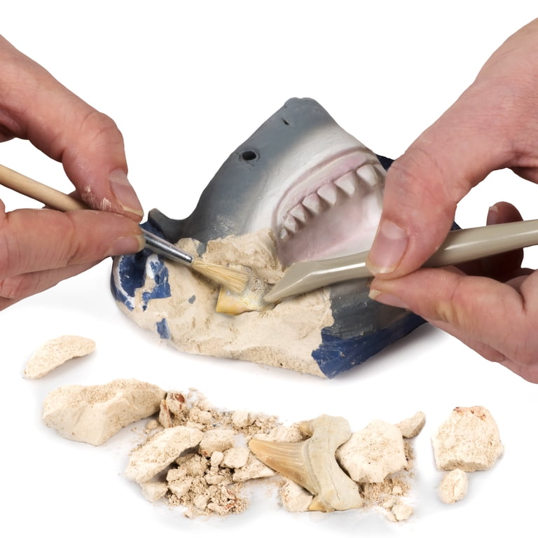 National Geographic Kids Shark Tooth Fossil Dig Kit with Tools