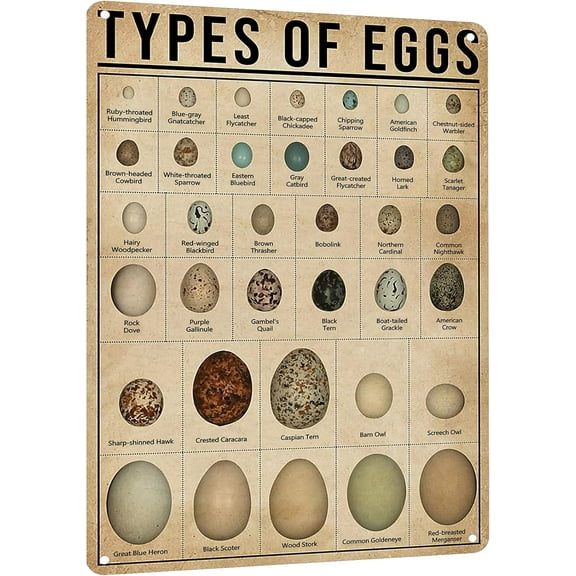 Vintage Style Eggs Chart Metal Wall Sign Retro Kitchen Decor Tin Poster 8 x 12 Inches