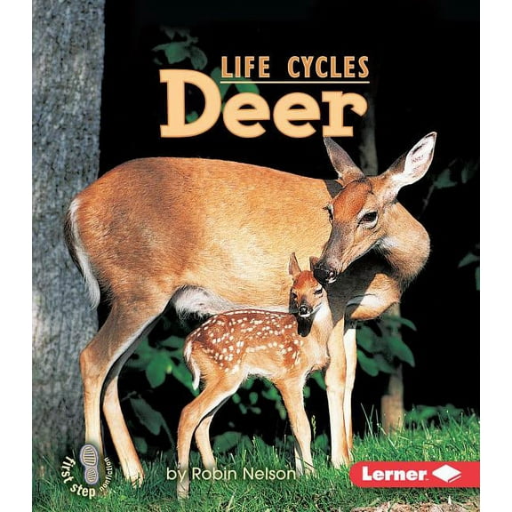 First Step Nonfiction -- Animal Life Cycles: Deer (Paperback)