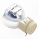 thumbnail image 2 of Projector Lamp Bulb 240/0.8 E20.9N for W1070 W1070+ W1080 W1080ST HT1085ST HT1075 W1300 Models, 2 of 5
