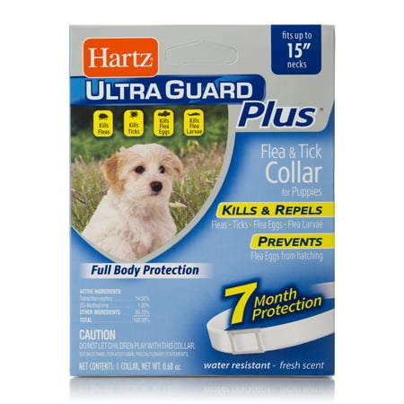 Hartz UltraGuard Plus Flea and Tick Puppy Collar (Best Way To Treat Fleas On Puppies)