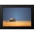 thumbnail image 2 of Gerhardus 14x11 Black Modern Framed Museum Art Print Titled - Follow the Leader, Color, 2 of 5