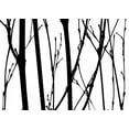thumbnail image 4 of Monika Burkhart 14x11 Black Modern Wood Framed Wall Art Titled - Branch Silhouette V, 4 of 6