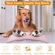 thumbnail image 3 of Cuencos dobles para perros y gatos, cuencos para mascotas de acero inoxidable, alimentador de agua para comida, gatos, perros pequeños, 3 of 8