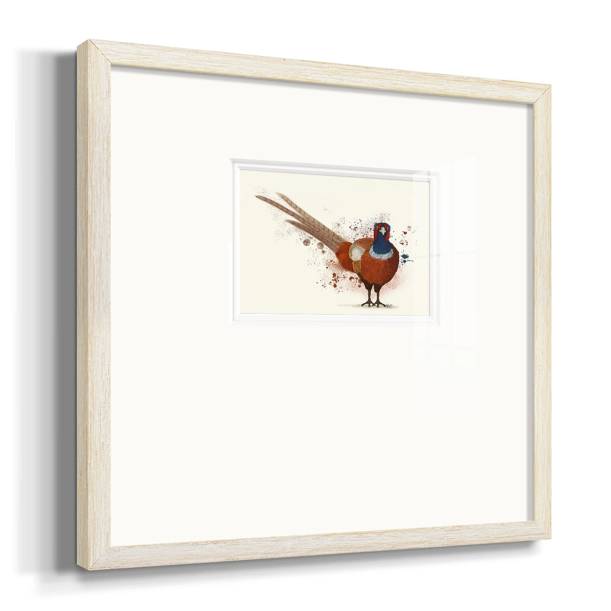 Pheasant Splash 7Premium Framed Print