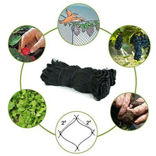 Strong Nylon 100ft x 100ft Garden Netting 2-Inch Mesh Anti Bird Poultry Netting for Fruit Trees Used As Bird Netting for Chicken Coop, Plant Netting, Tree Protectors, Aviary Netting