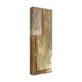 thumbnail image 2 of Trademark Fine Art 'Rustic Earth II' Canvas Art by Jennifer Goldberger, 2 of 4