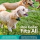 thumbnail image 3 of Cerca Inalámbrica para Perros y Collar de Adiestramiento 2 en 1 PetCove 15-35 kg, 3 of 6