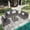Dk Gray&Dk Gray, variant on 7 Pieces Outdoor Patio Furniture Set,Rattan Wicker Modular Sectional Sofa with Cushions and Coffee Table for Garden,Balcony,Porch,Light Gray/Gray