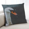 thumbnail image 1 of Ahgly Company Animals Swan Coussin Intérieur 18 Pouces par 18 Pouces, 1 of 6