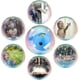 thumbnail image 3 of Electric Bubble Whale Bubble Machine Baby Bath Toy, 3 of 3