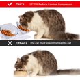 thumbnail image 4 of Cuenco doble para gatos, cuenco para gatos, cuenco para gatos con inclinación de 15°, comedero doble para mascotas con soporte elevado para gatos y perros (2 transparentes) JFHHH pequeña, 4 of 5