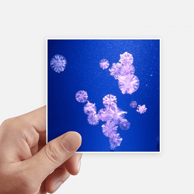 Ocean Jellyfish Science Nature Picture Sticker Square Waterproof Stickers Wallpaper Car Decal