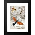 thumbnail image 2 of Jules Rothschild 10x14 Black Modern Framed Museum Art Print Titled - Hymenopteres Pl. XII (1876-1878), 2 of 5