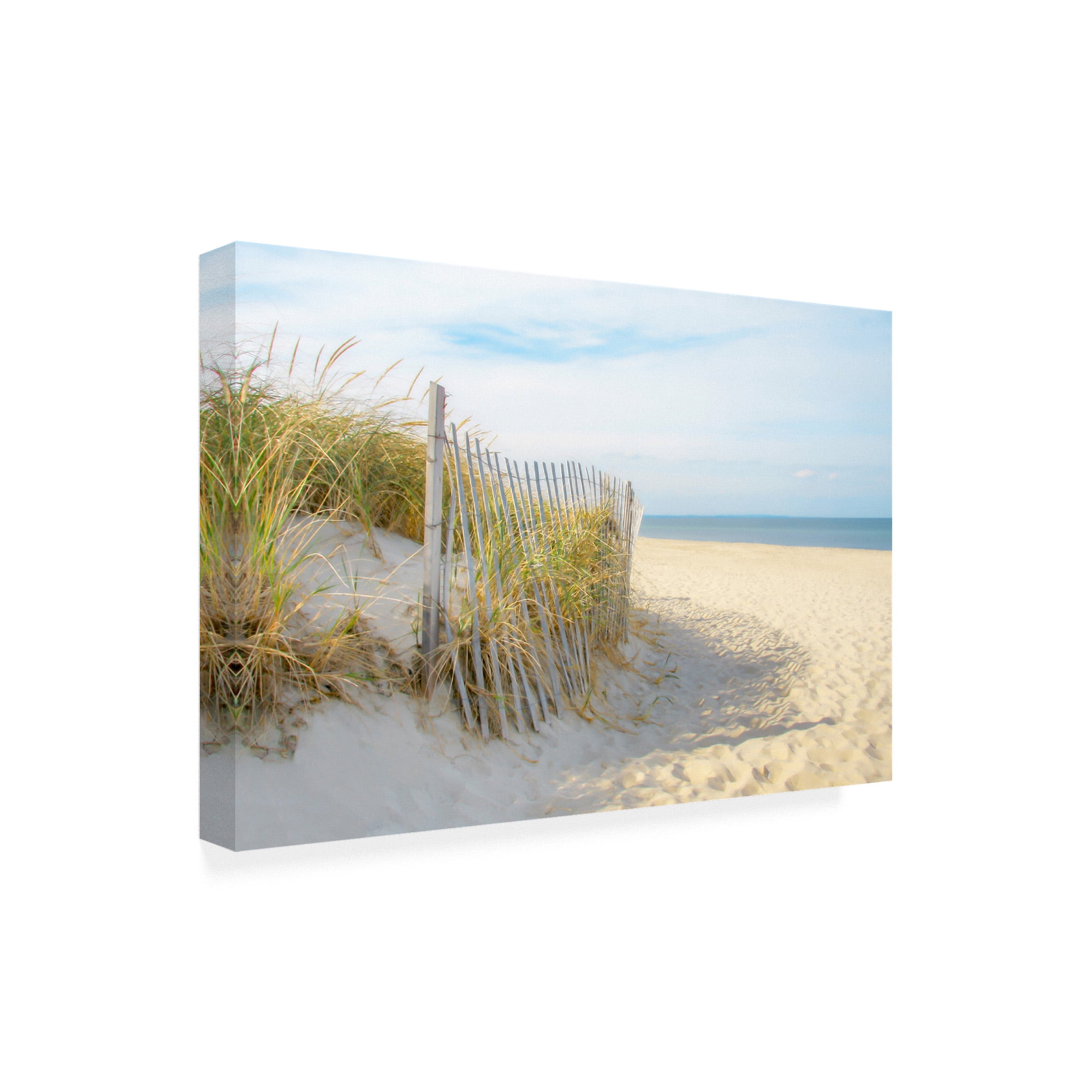 Trademark Fine Art 'Sandy Neck' Canvas Art by Brooke T. Ryan