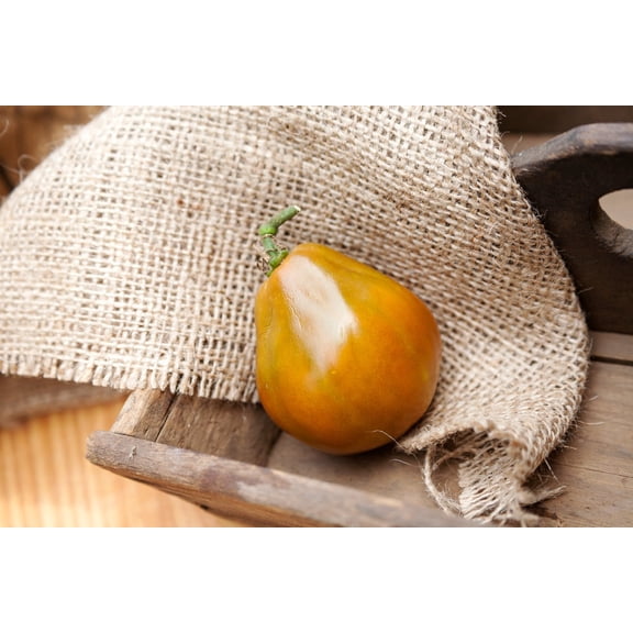 Japanese Trifele Truffle Black Heirloom Tomato Premium Seeds Packet