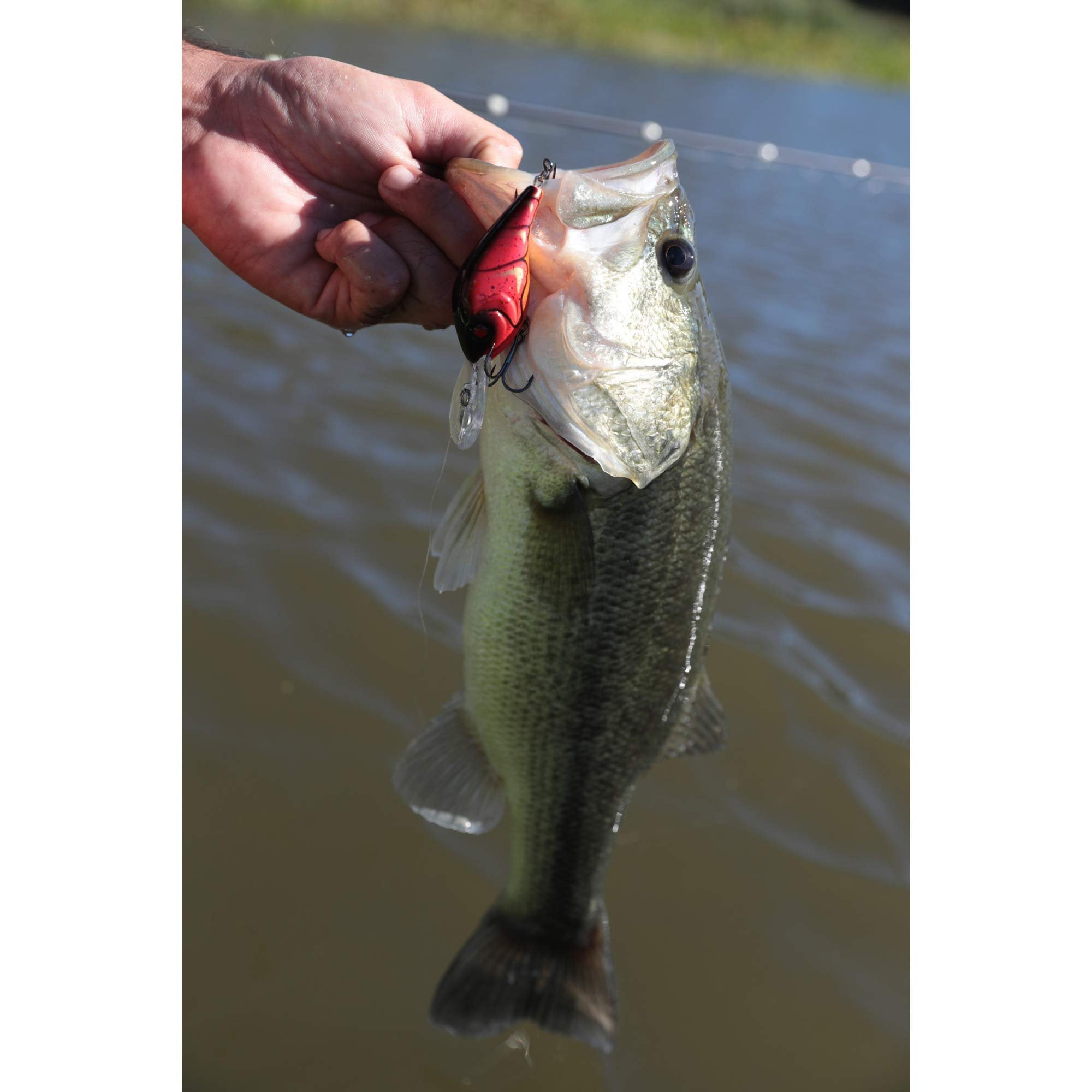 Berkley Dredger Fishing Lure, HD Bluegill, 7/8 oz