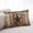 brown, variant on Rustic Country Lumar Pillow Covers,Western Stars Brown Texture Wooden Print Breathable Throw Pillow Cases with Invisible Zipper,Decorative Pillowcase Pillows Protectors for Sofa Bed Chair 16"x24"