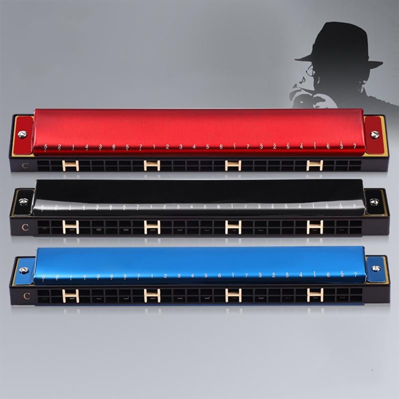 CEORPER Professional 24-Hole Harmonica Competition Mouth Organ for Student Beginner