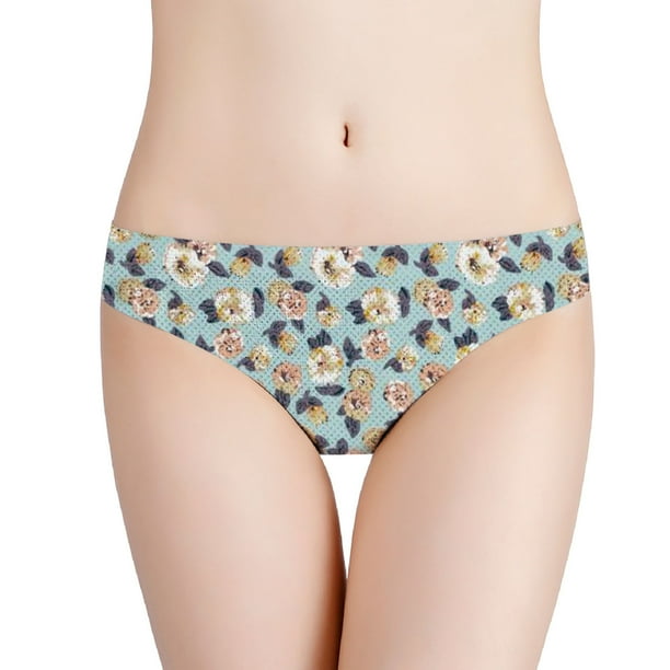 5PCS Mujeres Sedoso Cómodo Cintura baja Transpirable Sexy Nylon Tiene elasticidad Calzoncillos Fridja nalpqowj13842