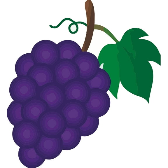 Grapes Food Grape Vine Wall Vinyl Peel and Stick Car Truck Window Laptop Kitchen Children Baby Room Vinyl Waterproof Fruit Design High Quality Adhesive Decal Sticker (30x10inch)