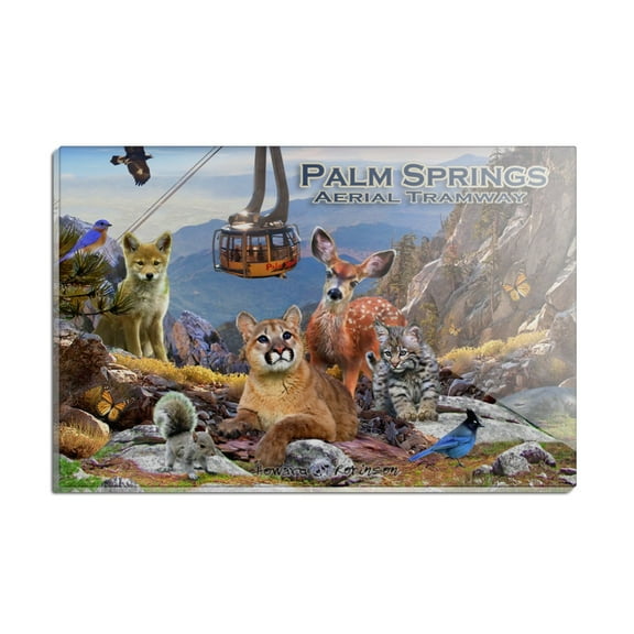 Palm Springs Aerial Tramway California CA Animals Cougar Deer Bobcat Rectangle Acrylic Fridge Refrigerator Magnet