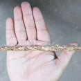 thumbnail image 2 of 50 Ft Coil - Golberg 3/8" Natural Fiber 3 Strand Heavy Duty Hemp Manila Rope - 2 Pounds, 2 of 4