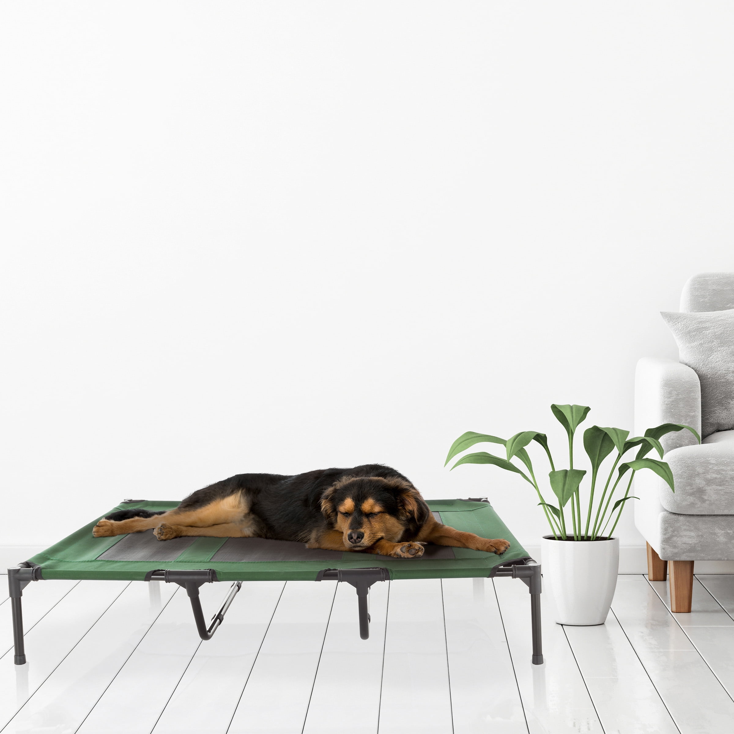 PETMAKER 48x35 Indoor/Outdoor Elevated Dog Bed for Pets up to 110lbs, Green