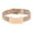 Rose Gold, variant on Keepsakes Ashes Bracelets Durability Stainless Steel Pet Memorials Bracelets
